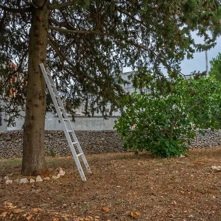 Trulli Dimora Palmisano Appartement Locorotondo