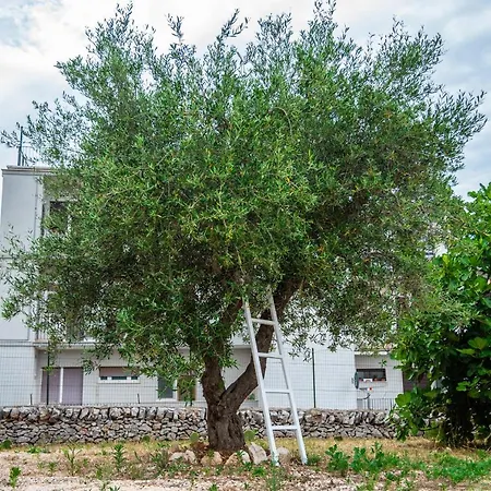 Trulli Dimora Palmisano Locorotondo