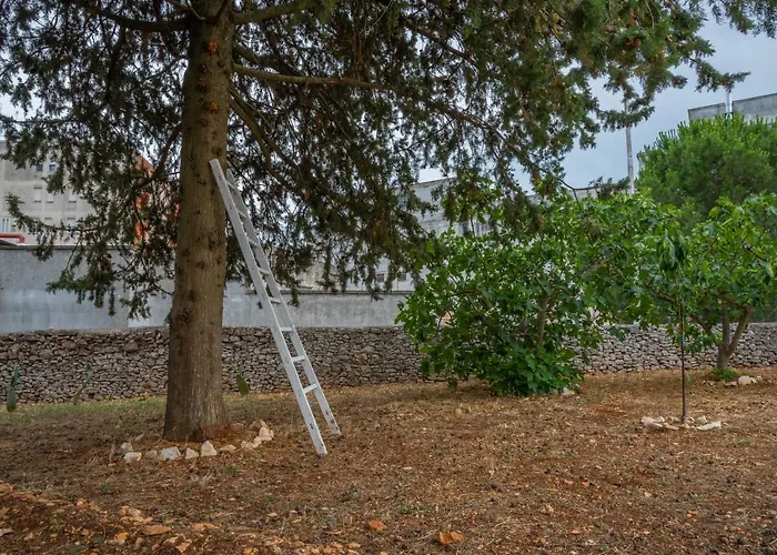 Trulli Dimora Palmisano 酒店 洛科罗通多